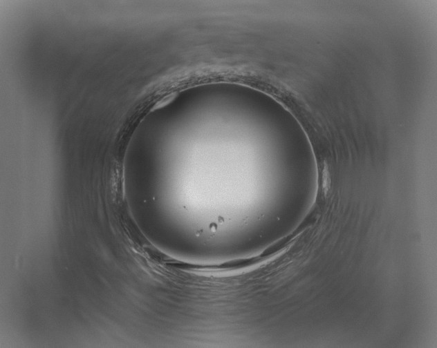 X0000070231492200606021333