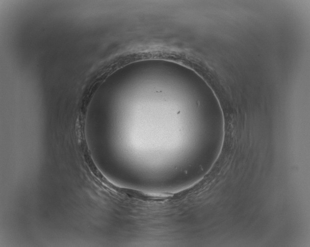 X0000070231493200606021333