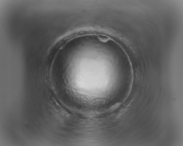 X0000070231494200606021333