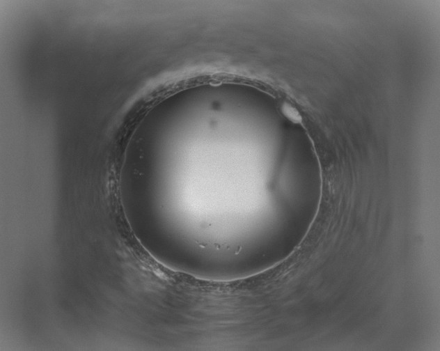 X0000070231495200606021333