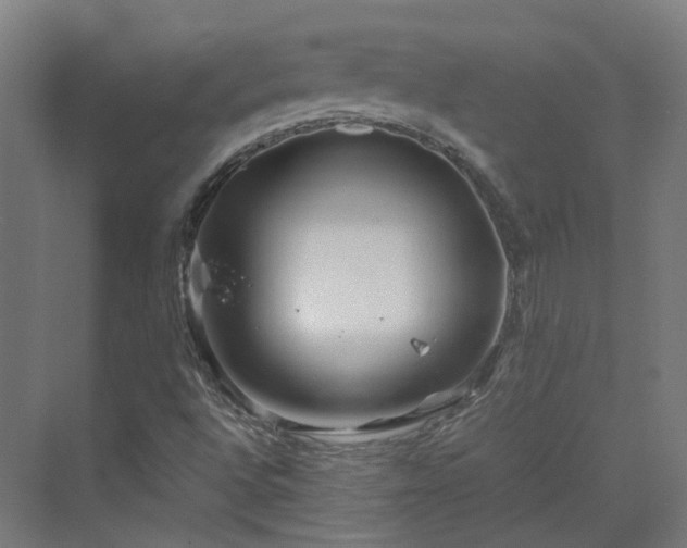 X0000070231496200606021333