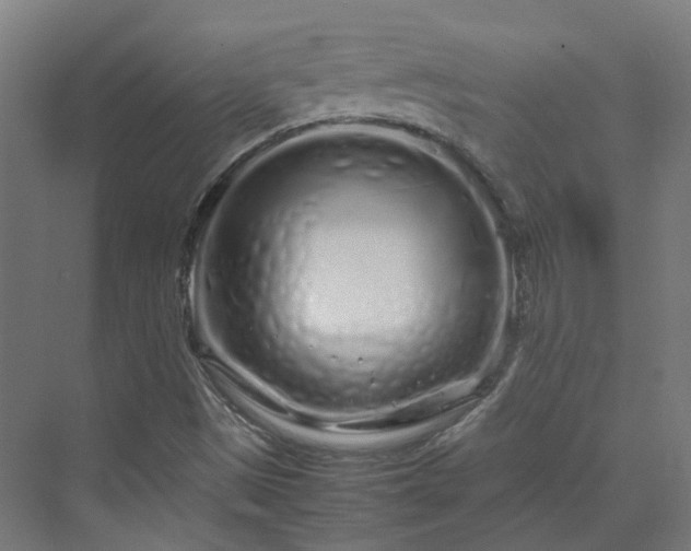 X0000070231497200606021333