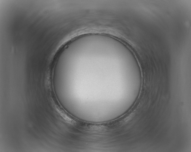 X0000070231498200606021333