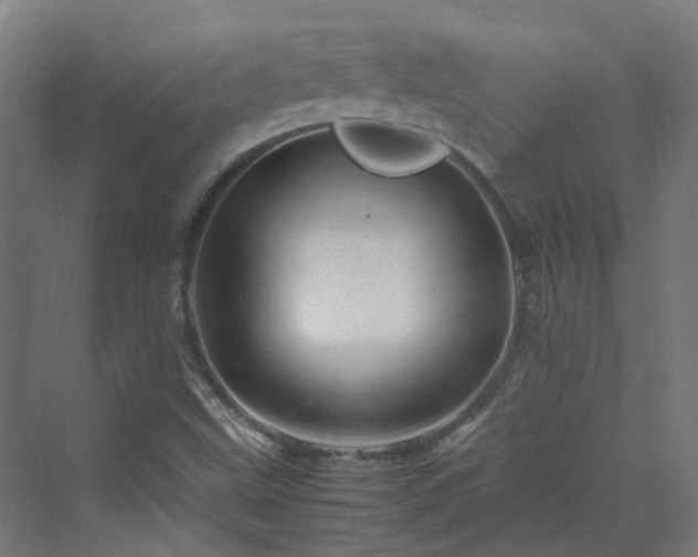 X0000070231499200606021333