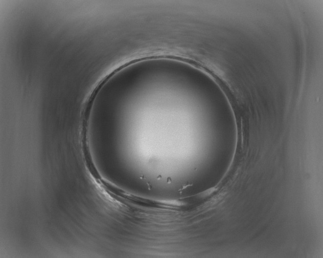 X0000070231500200606021333