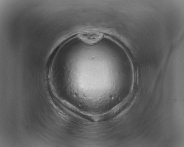 X0000070231501200606021333