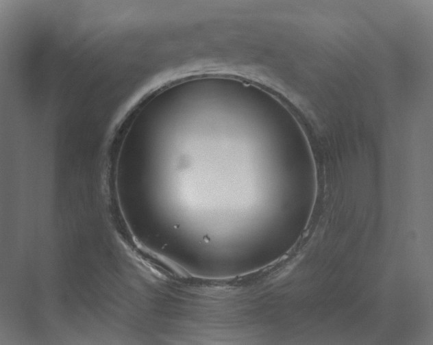 X0000070231502200606021333