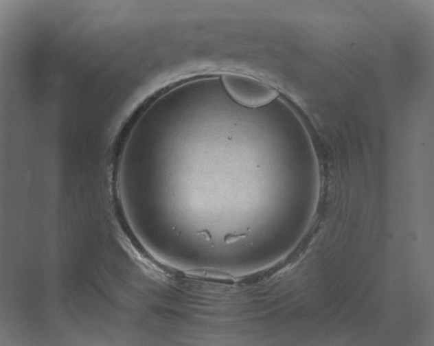 X0000070231503200606021334