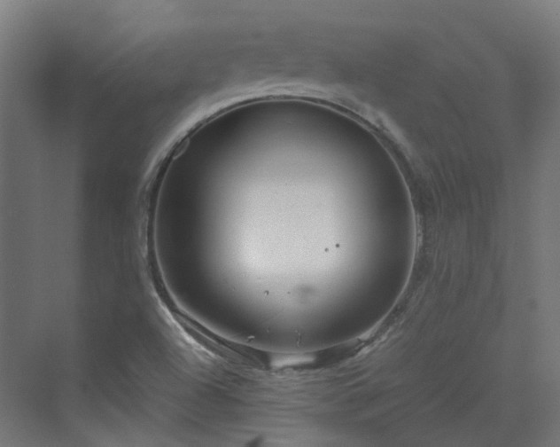 X0000070231504200606021334