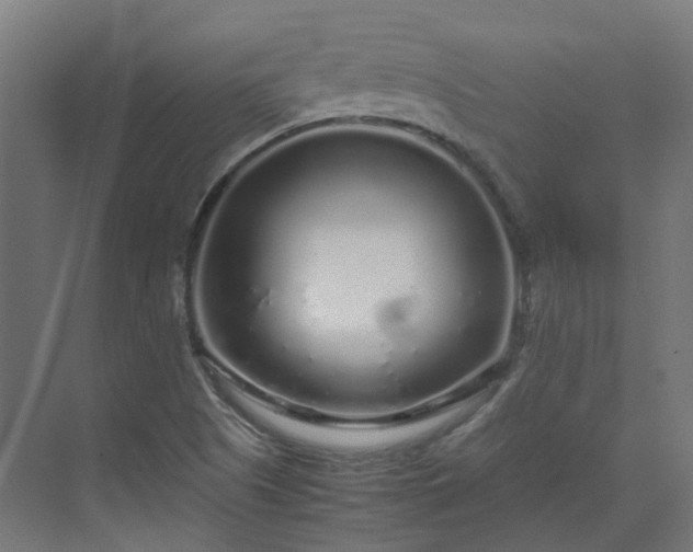 X0000070231505200606021334