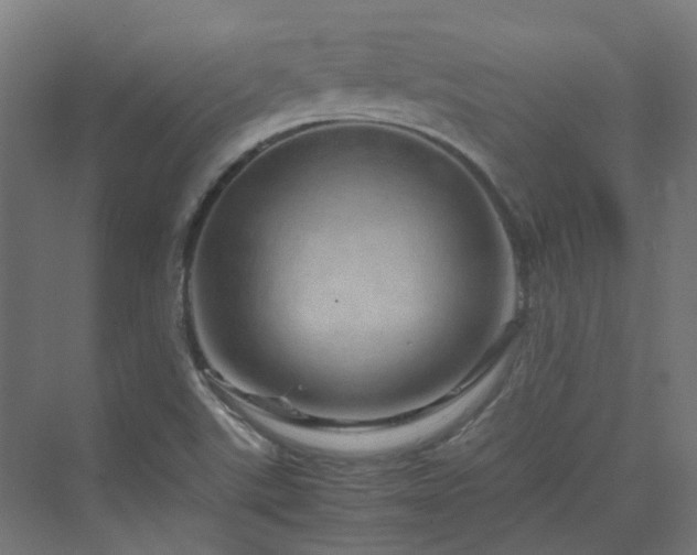 X0000070231507200606021334