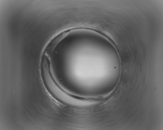 X0000070231508200606021334