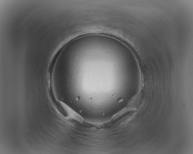 X0000070231509200606021334