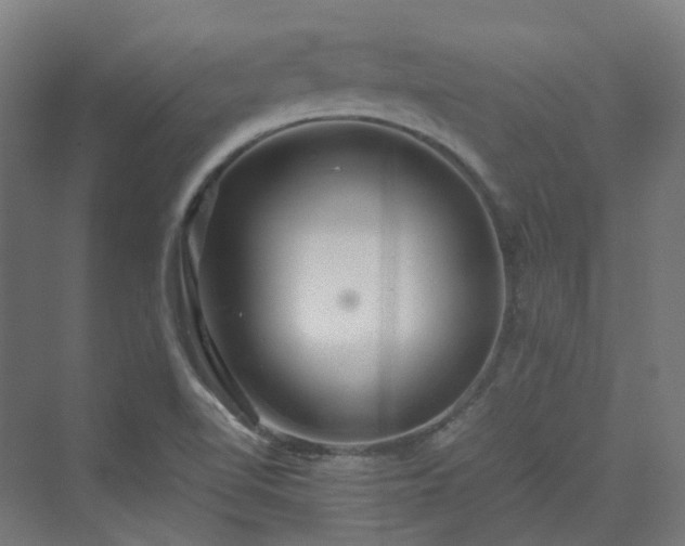 X0000070231510200606021334