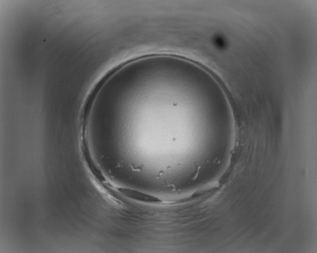 X0000070231511200606021334