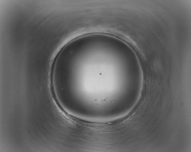 X0000070231512200606021334