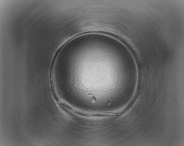 X0000070231513200606021334