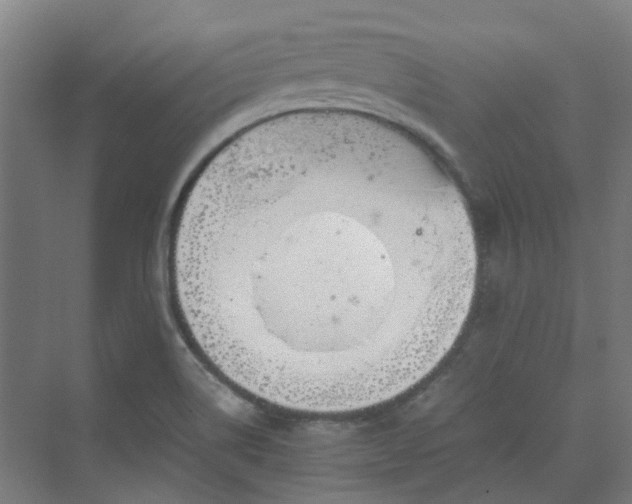 X0000070231514200606021334