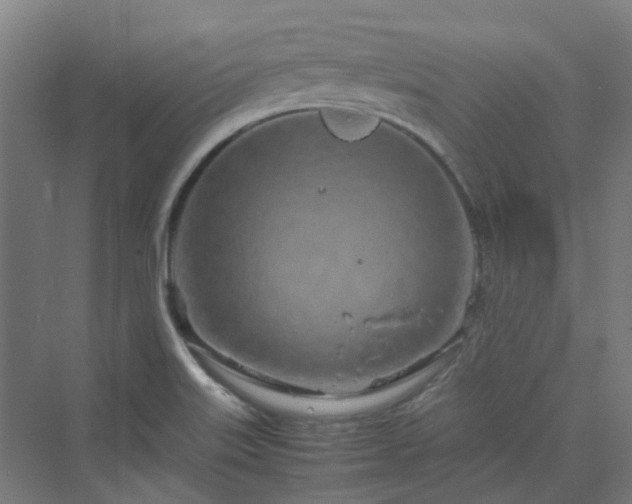 X0000070231515200606021334