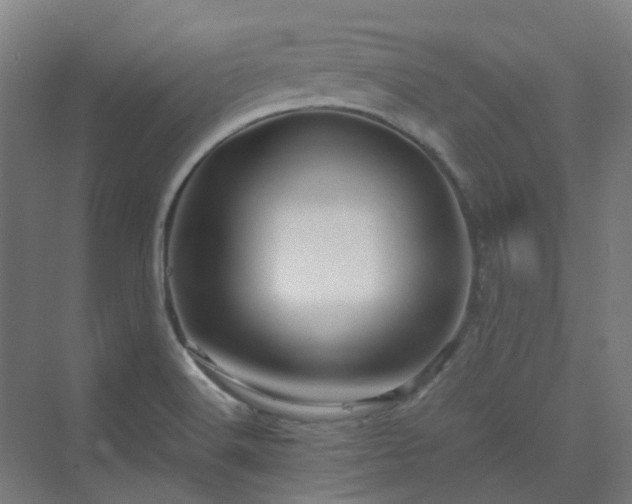 X0000070231516200606021334