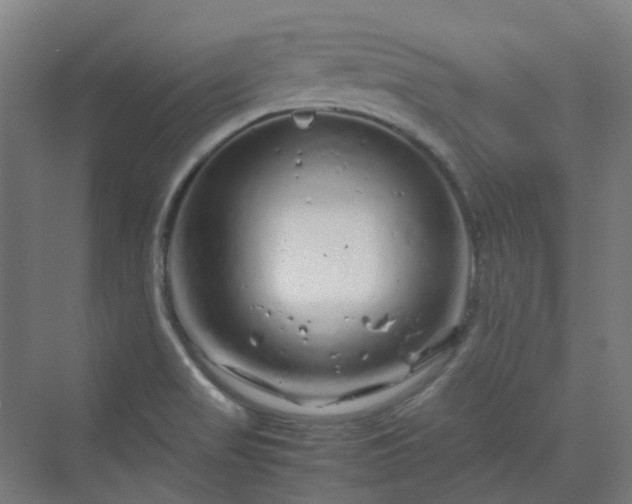 X0000070231517200606021334