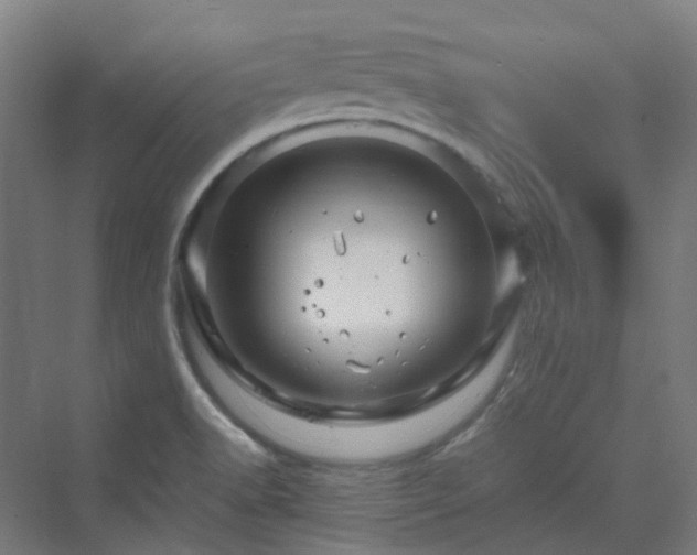 X0000070231518200606021334