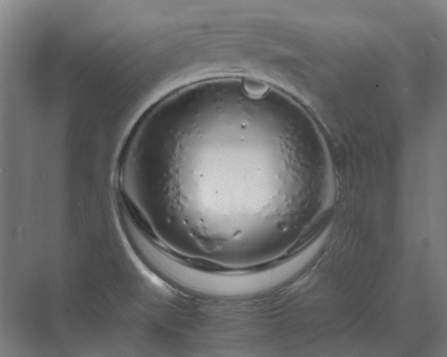 X0000070231519200606021334