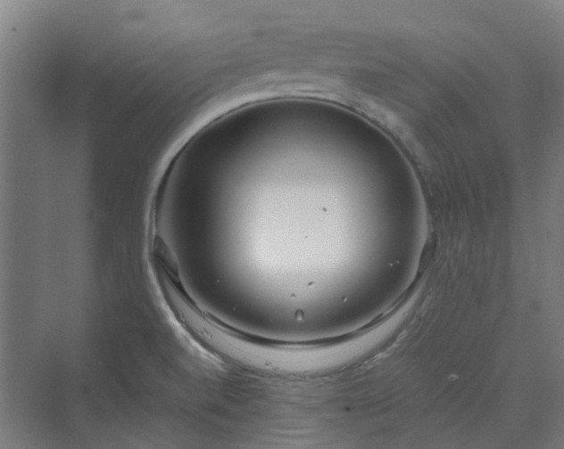 X0000070231520200606021334