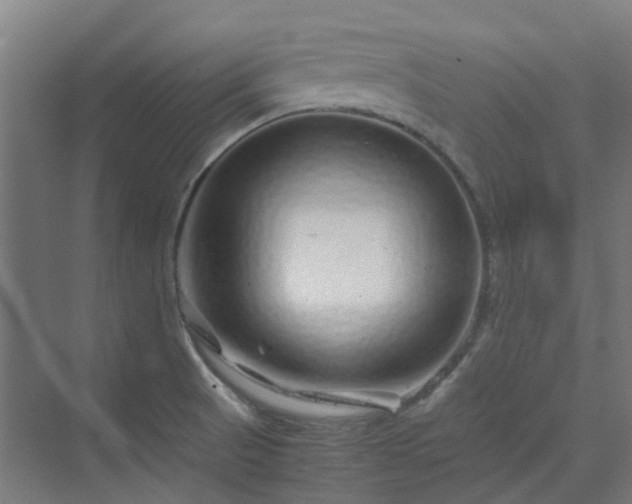 X0000070231521200606021334