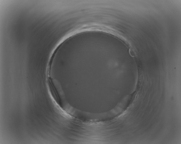 X0000070231522200606021334