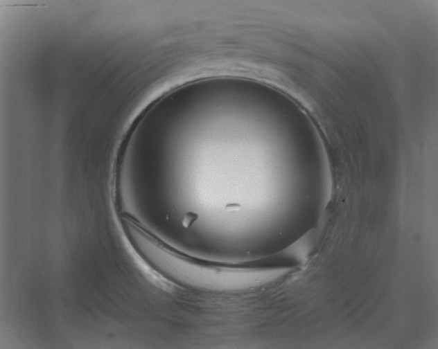 X0000070231523200606021334