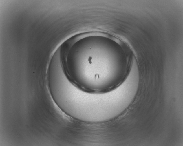 X0000070231524200606021334