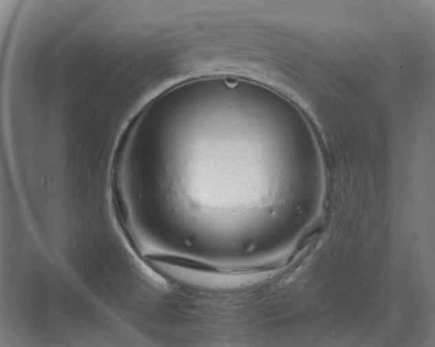 X0000070231525200606021334