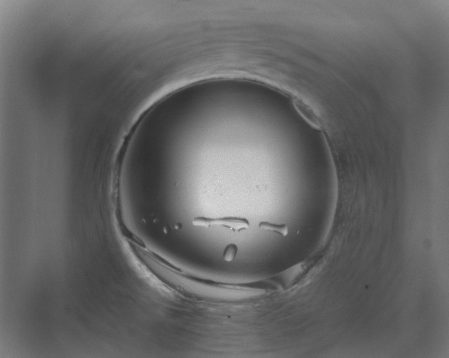 X0000070231526200606021334