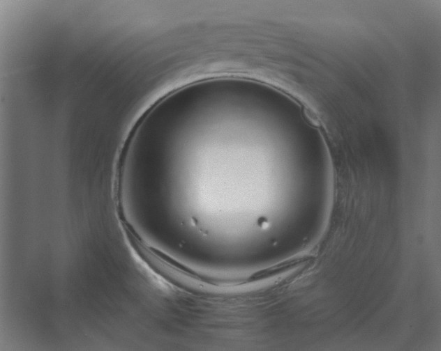 X0000070231527200606021334