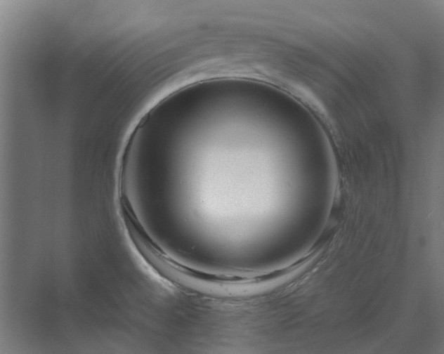 X0000070231528200606021334