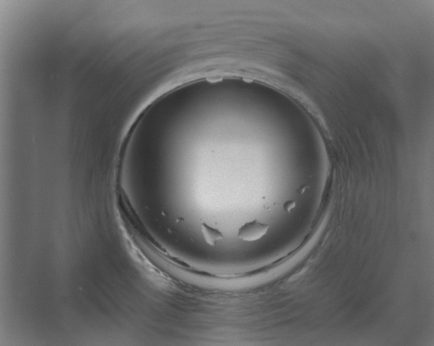 X0000070231530200606021334