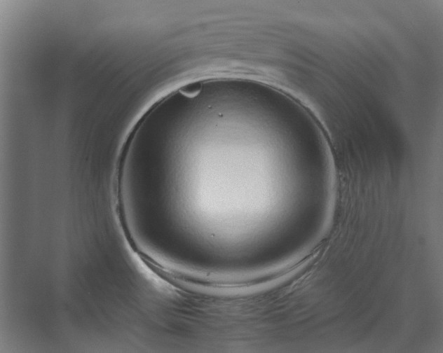 X0000070231531200606021334