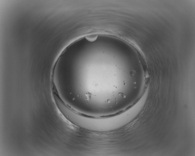 X0000070231532200606021334