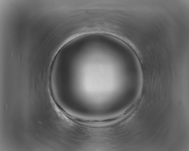 X0000070231534200606021334