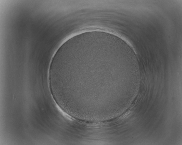 X0000070231535200606021334