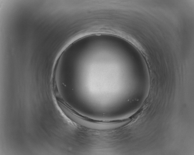 X0000070231536200606021334