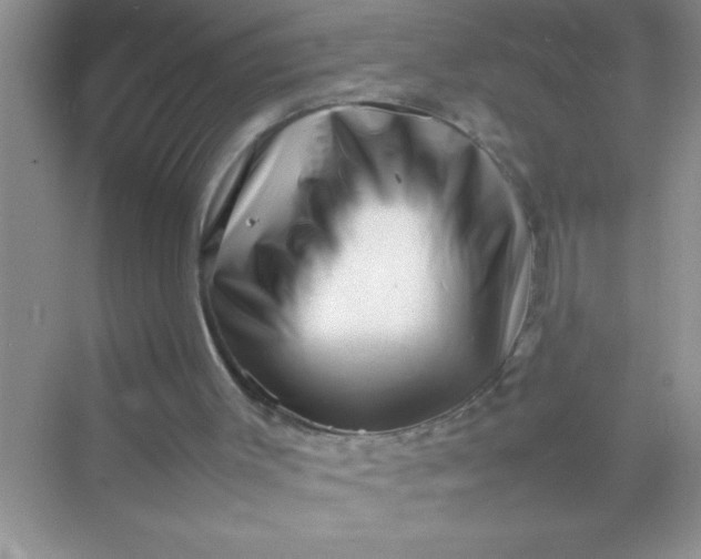 X0000070230003200606091729