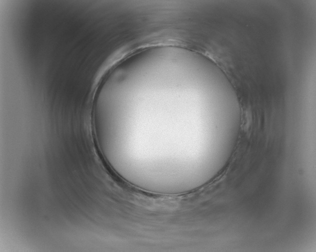 X0000070230004200606091729