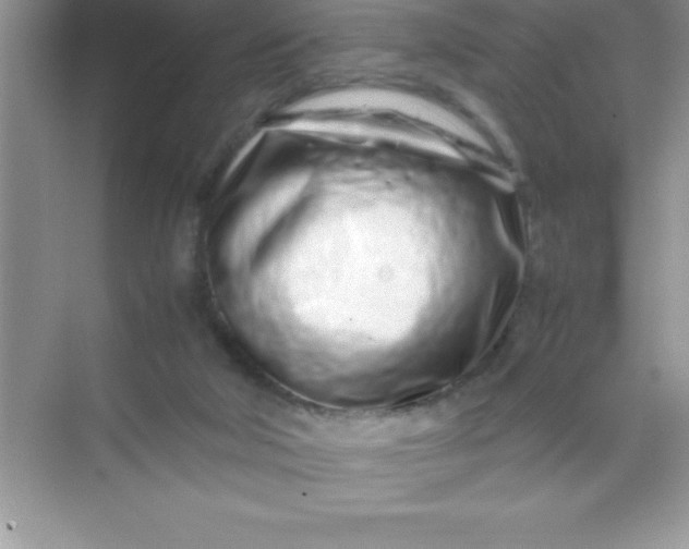 X0000070230018200606091729