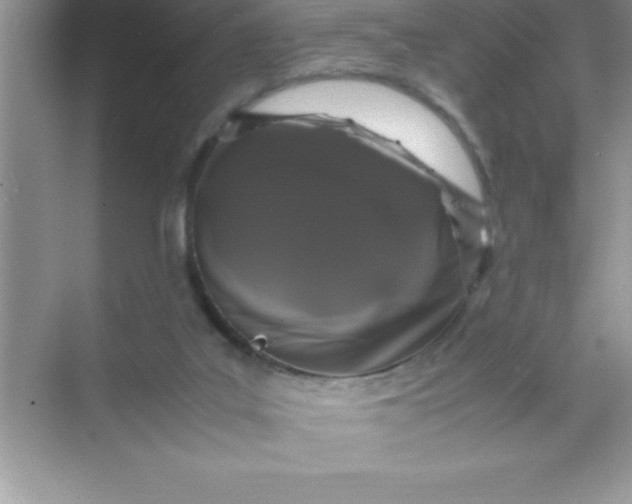 X0000070230019200606091729