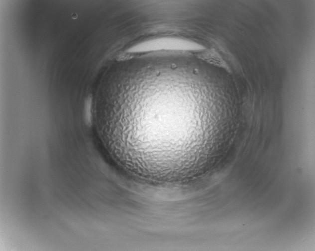 X0000070230024200606091729