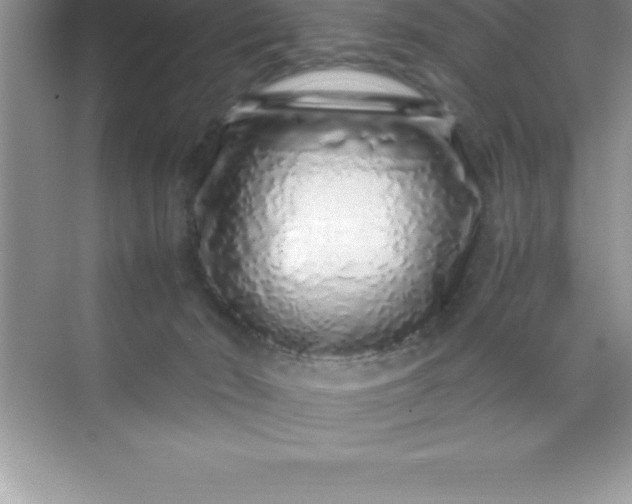 X0000070230030200606091729