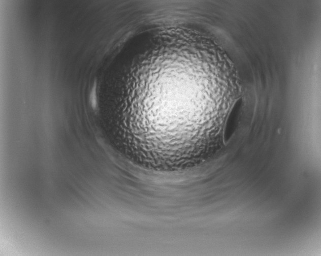 X0000070230046200606091728