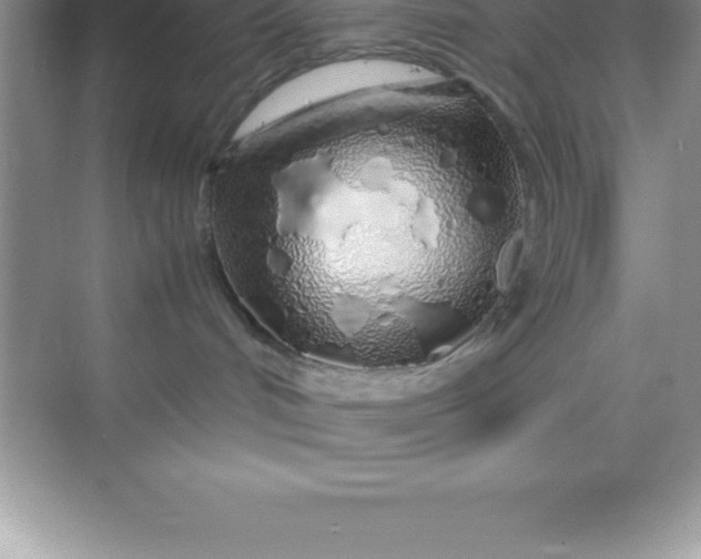 X0000070230048200606091728